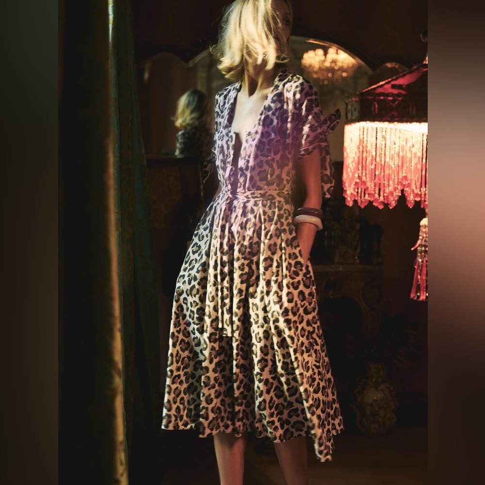 Zara Animal Print Dress